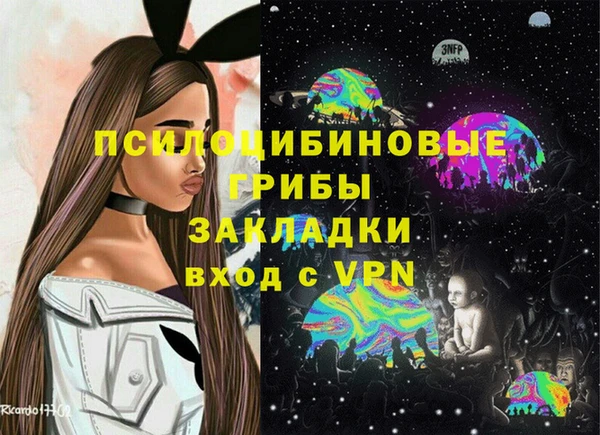 ГАЛЛЮЦИНОГЕННЫЕ ГРИБЫ Бородино