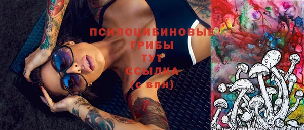 молекула духа Бугульма