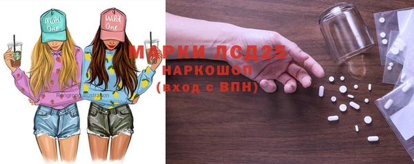 ГАЛЛЮЦИНОГЕННЫЕ ГРИБЫ Бородино