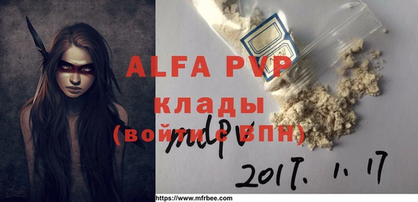 ГАЛЛЮЦИНОГЕННЫЕ ГРИБЫ Бородино